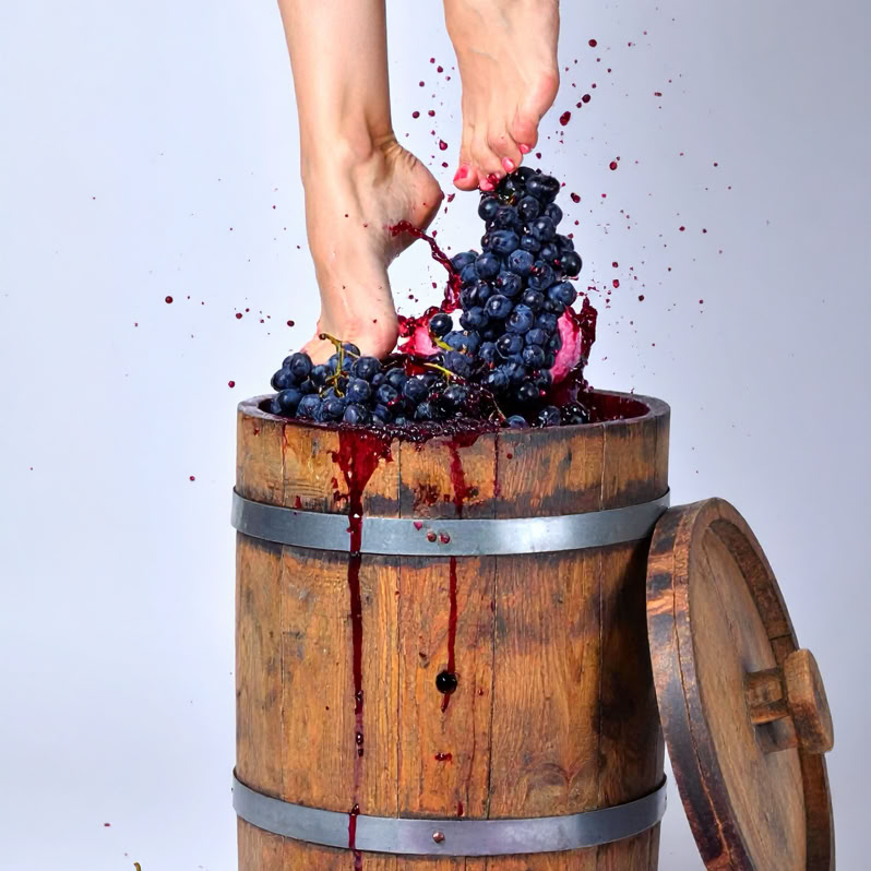 Due bicchieri di vino rosso e un grappolo d'uva in un cestino intrecciato con uno sfondo naturale sfocato.